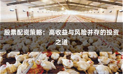 股票配资策略：高收益与风险并存的投资之道