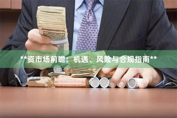 **资市场前瞻：机遇、风险与合规指南**